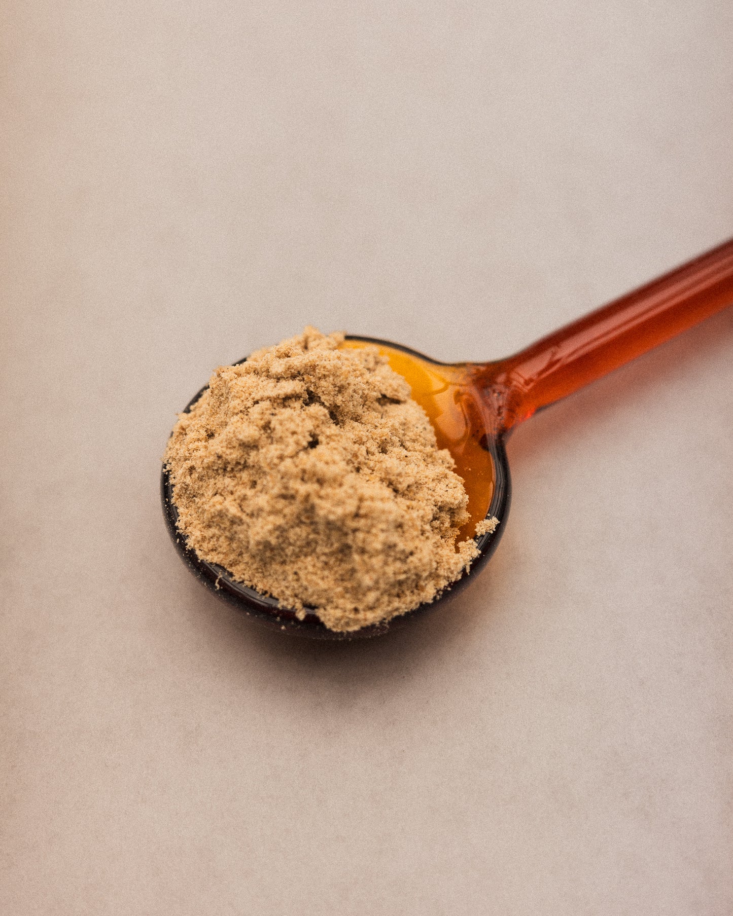 Lion's Mane: Focus & Digestione