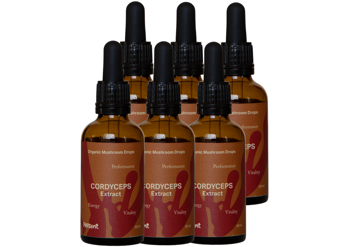 6 Mois - Cordyceps en gouttes