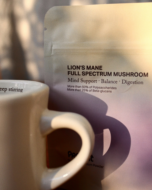 Winter Gift Set - Lion's Mane