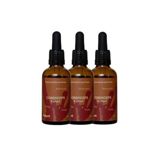 3 Mesi - Cordyceps in gocce