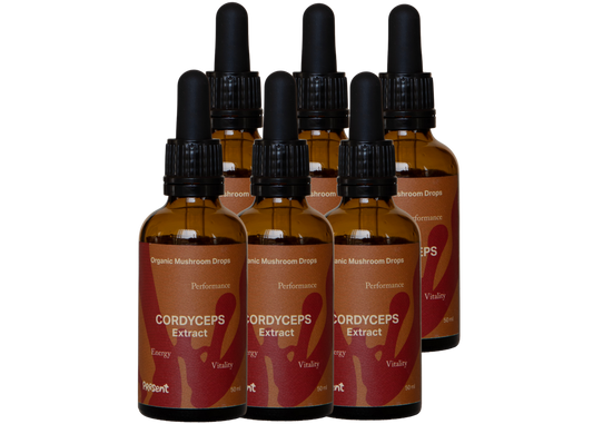 6 Mesi - Cordyceps in gocce