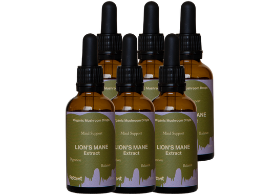 6 Mesi - Lion's Mane in gocce